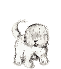 Cotonica Logo Copyright © N.L.K Brown, in memory of my beloved Mom